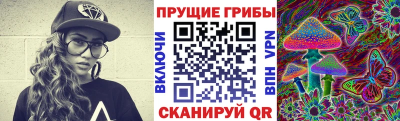 Купить  Алексеевка  Псилоцибиновые грибы Psilocybe 